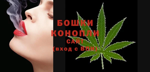 PSILOCYBIN Бородино